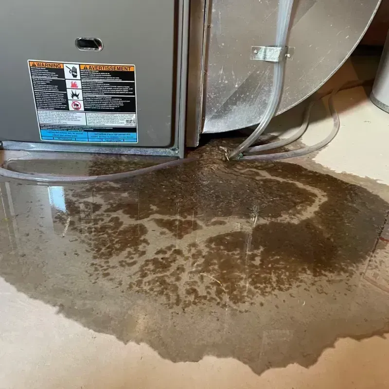 Appliance Leak Cleanup in Dinuba, CA